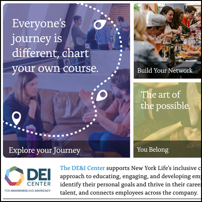 Design snippet of DEI internal website